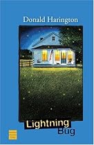 Lightning Bug (Stay More)