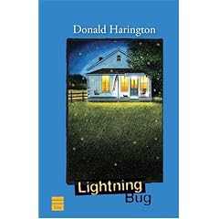 Lightning Bug (Stay More)