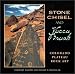 Book Stone Chisel and Yucca Brush: Colorado Plateau Rock Art