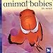 Animal Babies in Seas