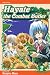 Hayate the Combat Butler (Volume 2): v. 2