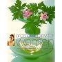 Aromatherapy for Women: Using Aromatic Essential Oils for Natural Healing