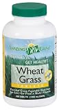 Amazing Grass Organic Wheat Grass Tablets, 200 Count Bottle 51GBGMgVBPL. SL160 Amazing Grass Organic Wheat Grass Tablets, 200 Count Bottle