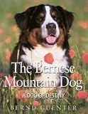The Bernese Mountain Dog : A Dog of Destiny