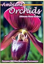 Ambient Orchids: The Ultimate Photo Gallery