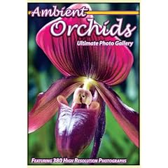 Ambient Orchids: The Ultimate Photo Gallery by Gardening DVDs