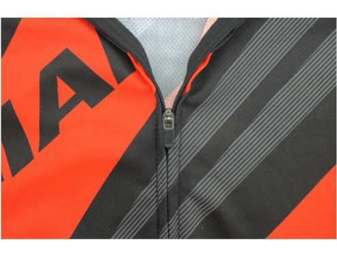 Giant Fleet Edition Cycling Jersey Long-Sleeved Slightly Thinner Giant Cycling Jersey Suits Bike Sportswear/Clothing (Red) : Size - L