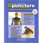 Q-Puncture Acupuncture made simple by  Hansen, M.D. Lee and Yeung Kwon