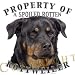 Rottweiler Mousepad Dog Mouse Pad Property Of