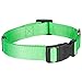 Blueberry Pet Essentials Neon Green Adjustable & Durable Large Dog Collar for Boys | Classic Collars for Large & Small Dogs, Stylish, Sturdy Nylon Collar for Pet Lovers