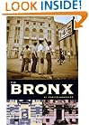 The Bronx (Columbia History of Urban Life)