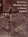 Search : The Lower Paleolithic Site at Hoxne, England (John D. and Catherine T. MacArthur Foundation Series on Ment)