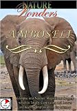 Nature Wonders  AMBOSELI Kenya