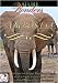 Nature Wonders  AMBOSELI Kenya