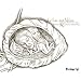 Le Lac aux V�lies : Un conte musical mis en images (1CD audio)