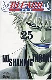 Bleach, Tome 25 : No Shaking Throne