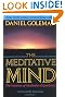 The Meditative Mind: The Varieties of Meditative Experience