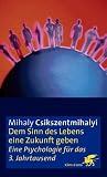 Mihaly Csikszentmihalyi: Dem Sinn des Lebens eine Zukunft geben: Eine Psychologie f�r das 3. Jahrtausend
