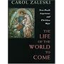 Life of the World to Come: Near-Death Experience and Christian Hope: The Albert Cardinal Meyer Lectures