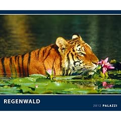 Regenwald 2012: Der gr�ne Planet