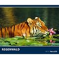 Regenwald 2012: Der gr�ne Planet