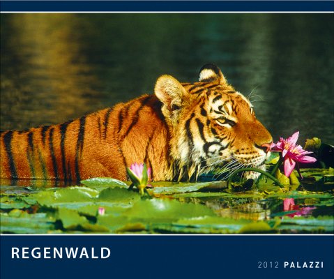 Buch - Cover Regenwald 2012: Der grüne Planet - Diverse - Palazzi-Verlag