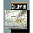 Coelophysis (Exploring Dinosaurs)