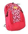 JanSport The Hex Backpack