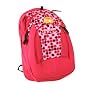 JanSport The Hex Backpack