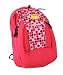 JanSport The Hex Backpack