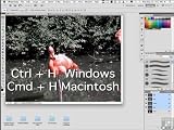 picture of Infinite Skills Adobe Photoshop CS5 Training DVD - Tutorial Video (PC/Mac)