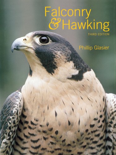 Falconry