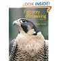 Falconry & Hawking