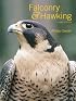 Falconry & Hawking