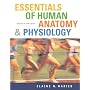 Essentials Human Anatomy and Physiology