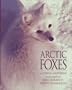 Arctic Foxes