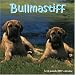 Bullmastiff 2007 Wall Calendar