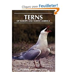 Terns of Europe and North America