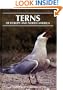 Terns of Europe and North America