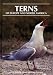 Terns of Europe and North America Image