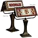 Memory Company Florida State Seminoles Art Glass Table Lamp