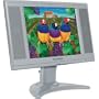 ViewSonic N1300 13-Inch Flat-Panel LCD TV