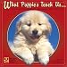 Books : What Puppies Teach Us: Life's Lessons Learned from Our Little Friends