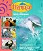All Products : Flipper