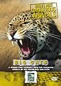World's Most Dangerous Animals - Big Cats [DVD]