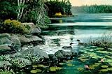 Northern Visitors Animals Art Poster Print by Alan Sakhavarz, 11x9