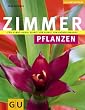 billige zimmerpflanzen