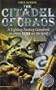 The Citadel of Chaos (Fighting Fantasy)