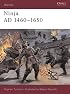 Ninja AD 1460-1650 (Warrior)