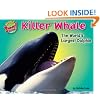 Killer Whale: The World's Largest Dolphin (More Supersized!)